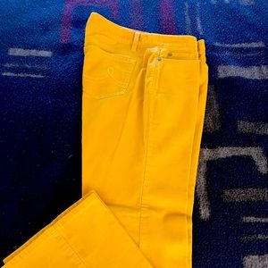 New Denim pants, Loft. Yellow, size 6, petite.